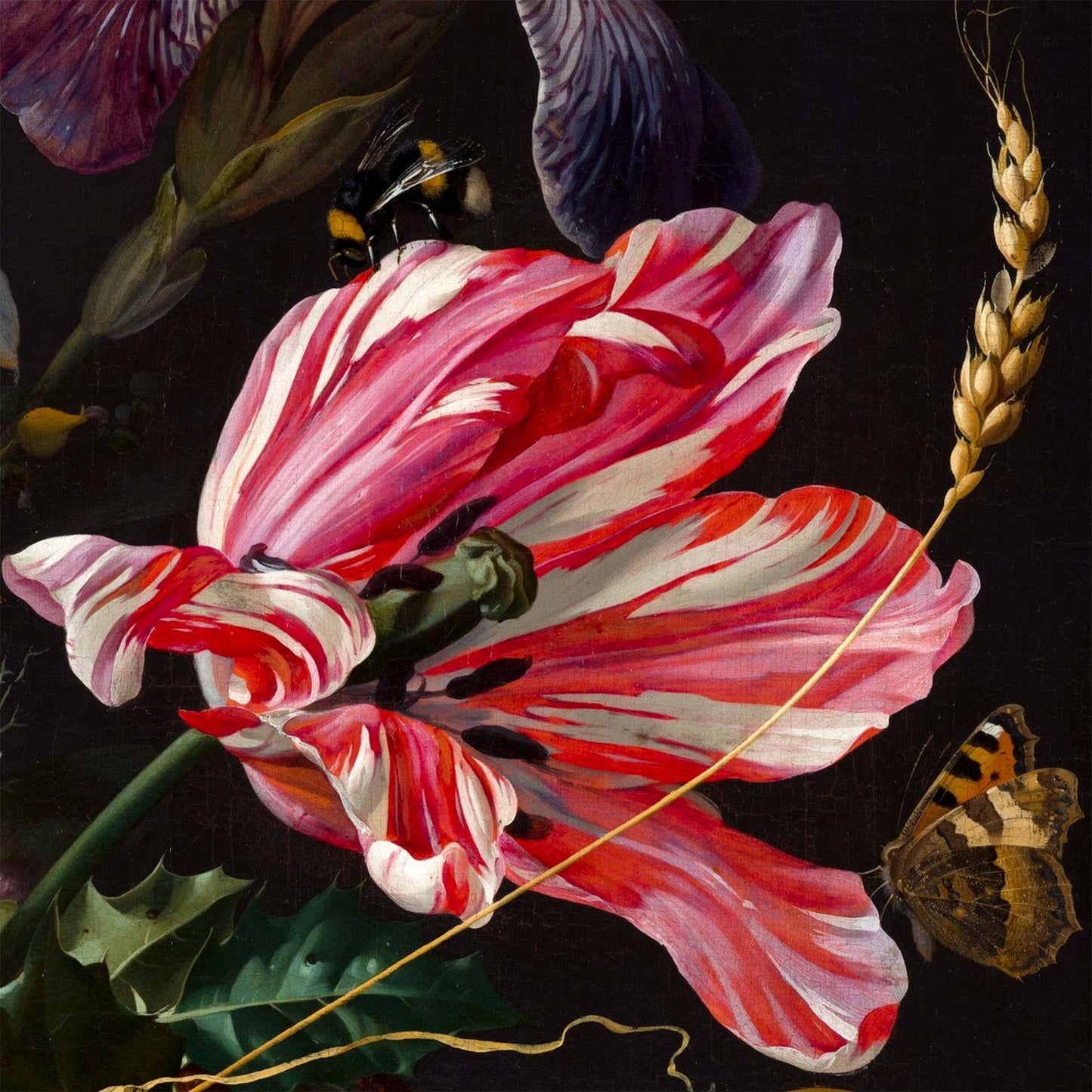 Close-up of a dramatic red and white tulip, a resting bumblebee, and a butterfly — design detail from Jan Davidsz de Heem's baroque still life.