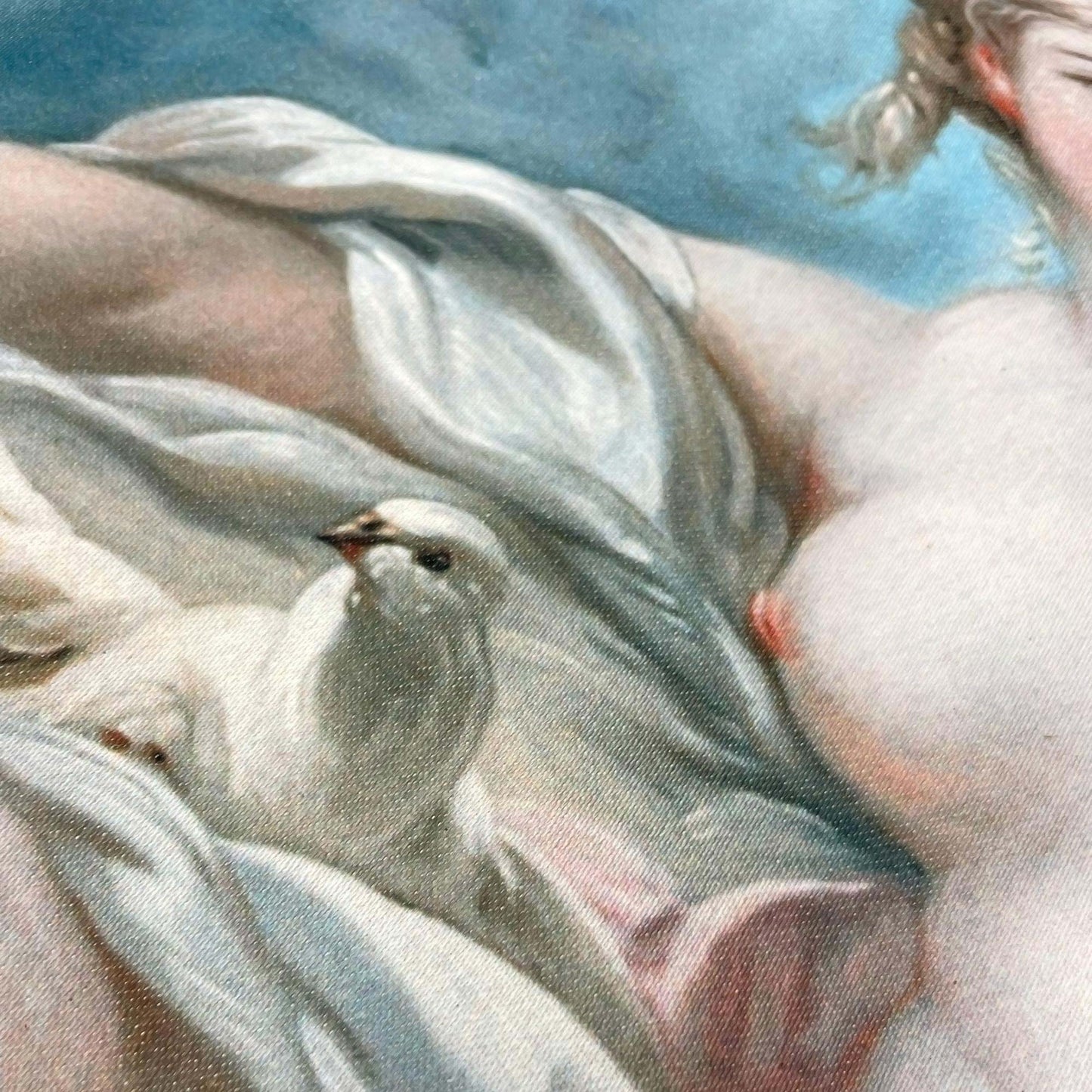 White dove against soft pastel drapery and clouds — painting detail from Boucher's Venus composition.