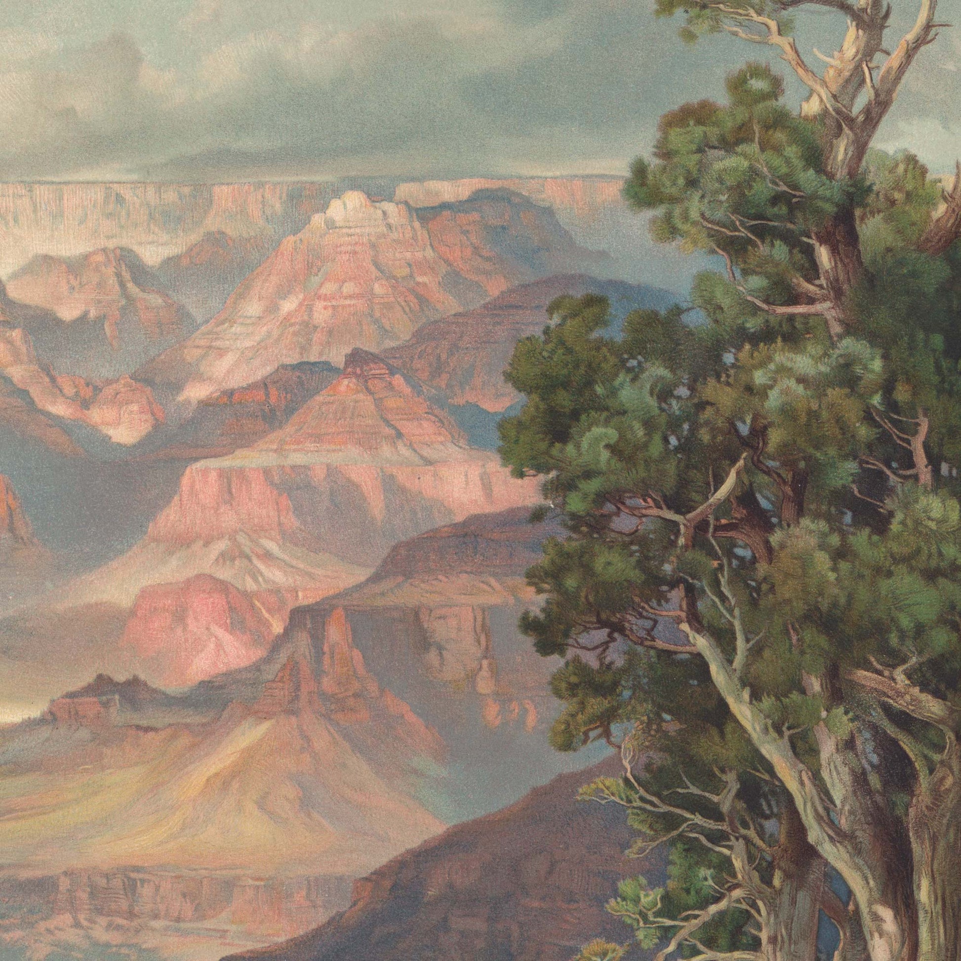 Grand Canyon artwork detail — layered terracotta rock formations and weathered evergreen pines, Thomas Moran 1912