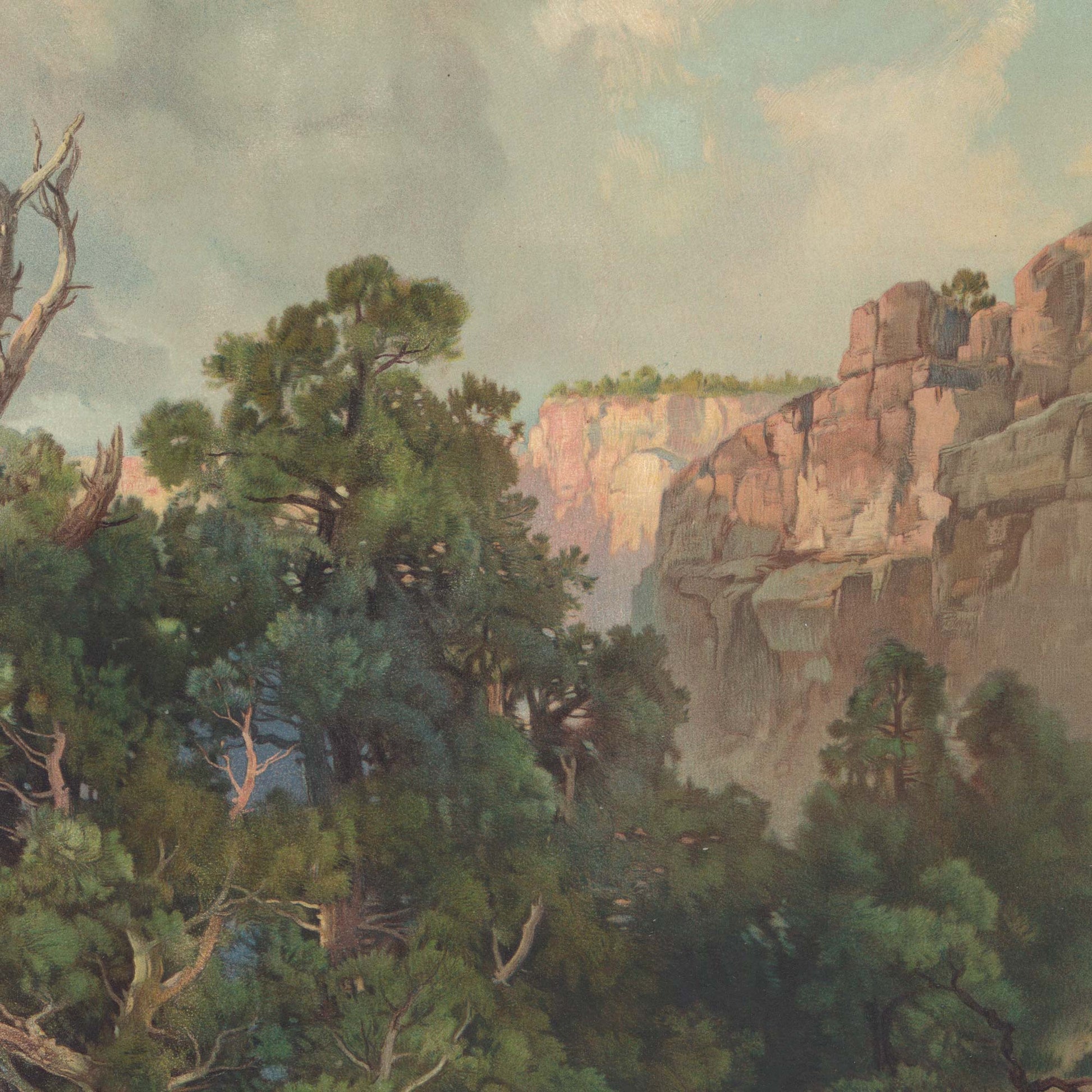 Detailed view of a massive, textured canyon cliff in warm sunlight from the artwork Grand Canyon by Thomas Moran, beautifully contrasted by the dense, shaded green foliage of foreground evergreen trees in the American Southwest.