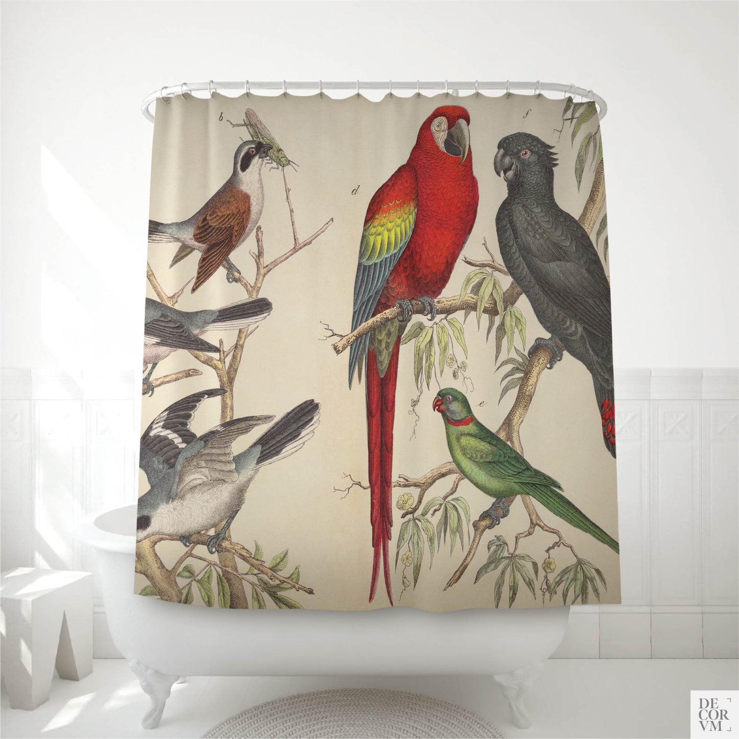 Vintage tropical macaw and parrot shower curtain over a clawfoot tub — 19th-century German natural history plate with red macaw and dark parrot by Decorvm.