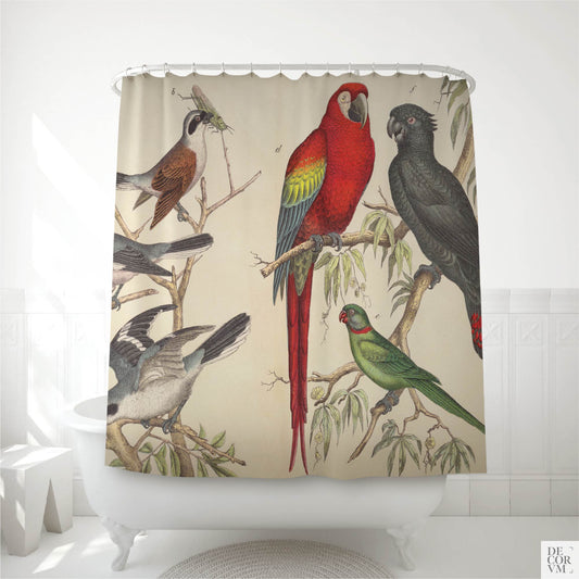 Vintage tropical macaw and parrot shower curtain over a clawfoot tub — 19th-century German natural history plate with red macaw and dark parrot by Decorvm.