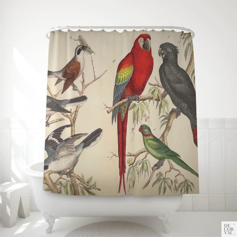 Vintage tropical macaw and parrot shower curtain over a clawfoot tub — 19th-century German natural history plate with red macaw and dark parrot by Decorvm.