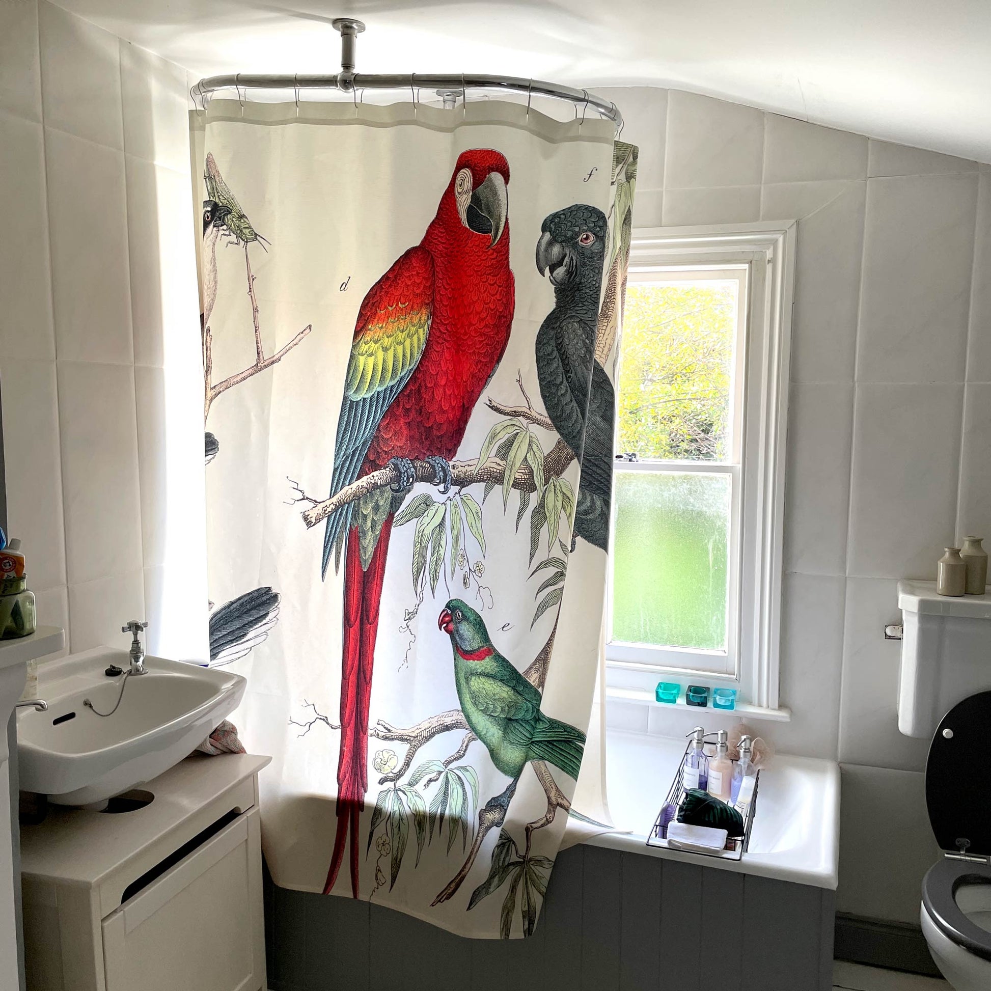Vintage tropical macaw and parrot shower curtain styled in a bright classic white guest bathroom.