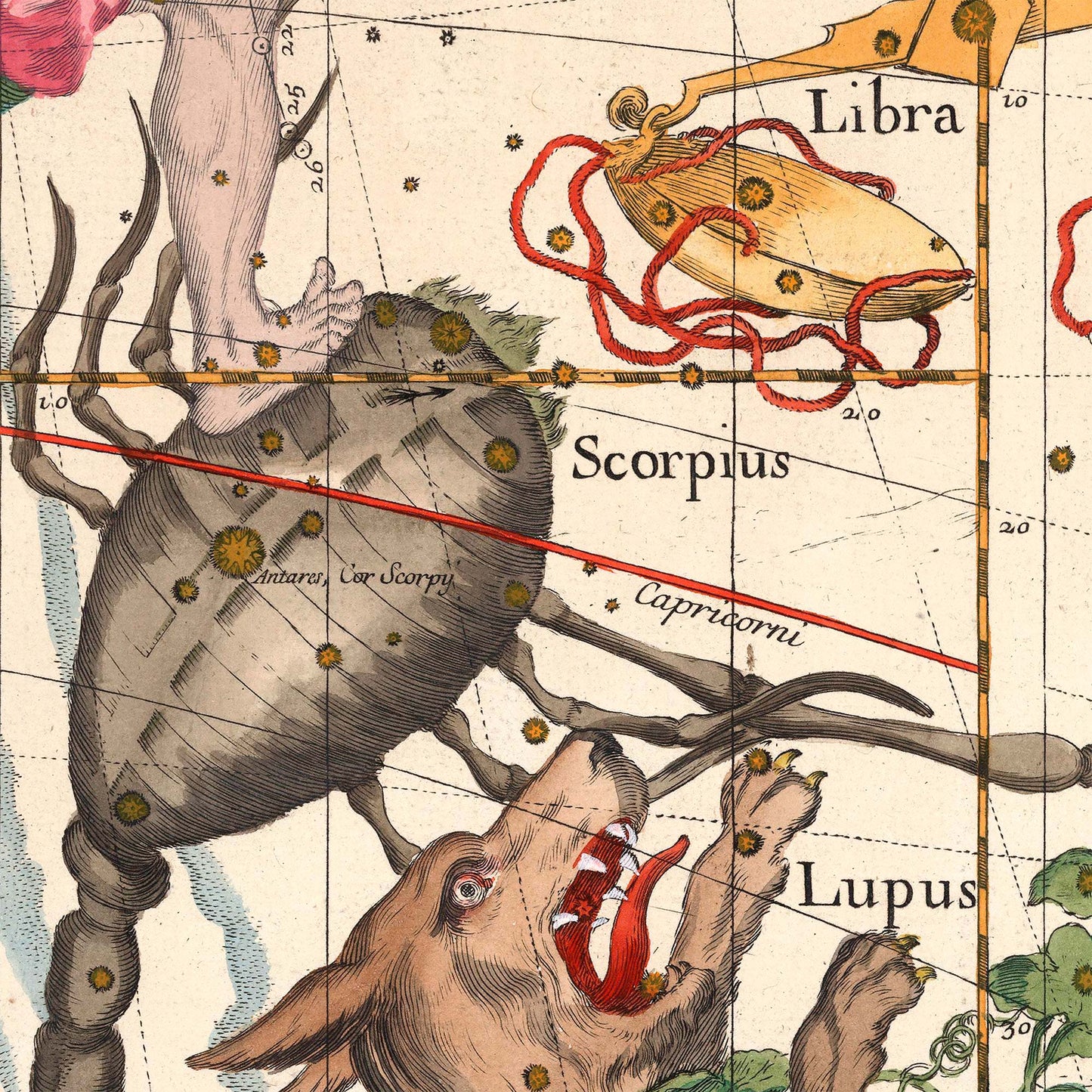 Scorpius, Lupus, and Libra constellations — design detail from the 1693 Pardies celestial star chart.