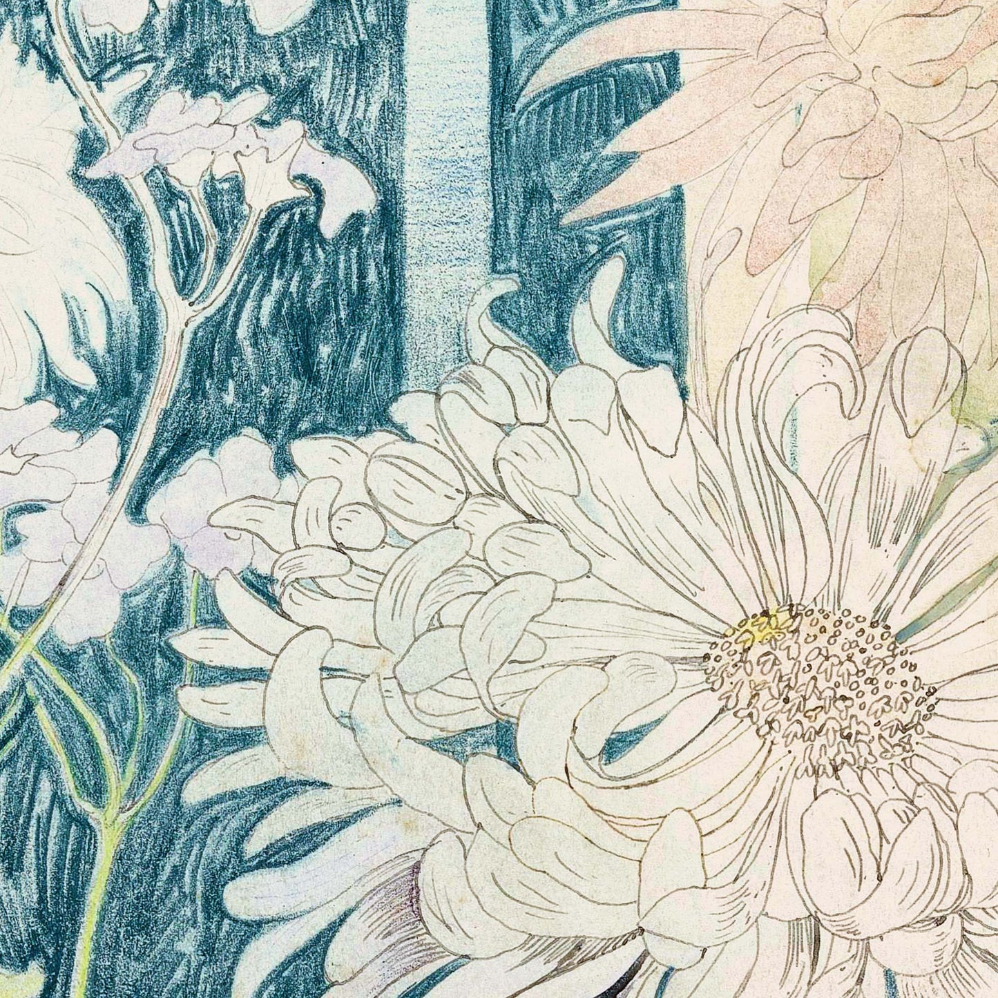 White chrysanthemum with pale pink wildflowers on a dark teal washed ground — sketch detail from Theo van Hoytema's Chrysanthemums and Some Other Autumn Flowers.