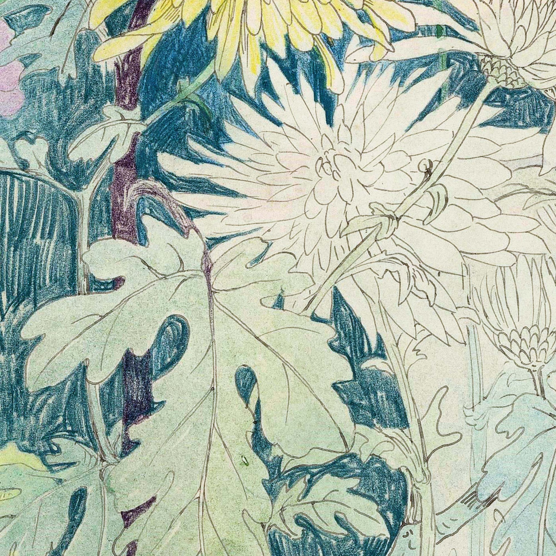 Textured pale green leaf beneath a white chrysanthemum on a dark teal ground — sketch detail from Theo van Hoytema's Chrysanthemums and Some Other Autumn Flowers.