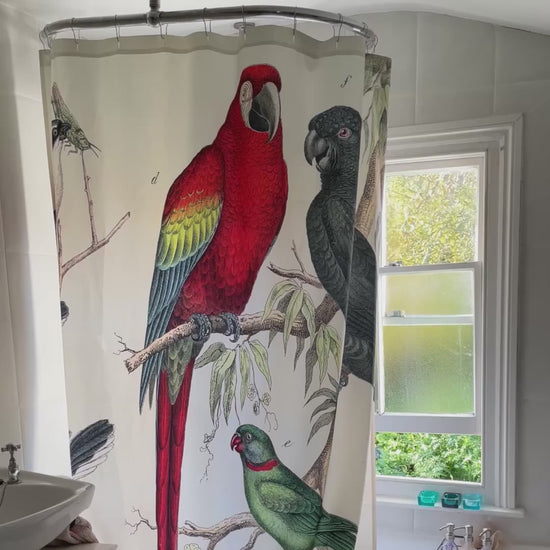 Close-up video panning across our heritage tropical macaw shower curtain, highlighting the intricate zoological print and premium fabric texture.