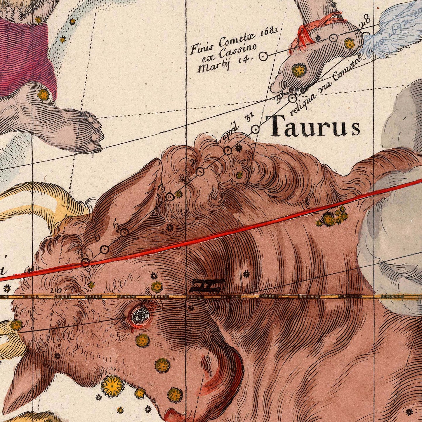 Taurus bull constellation — design detail from the 1693 Pardies celestial star chart.