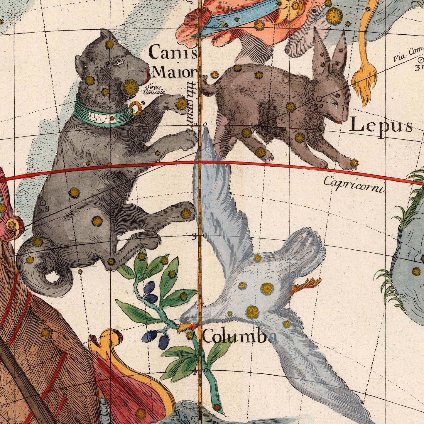 Canis Major, Lepus, and Columba constellations — design detail from the 1693 Pardies celestial star chart.