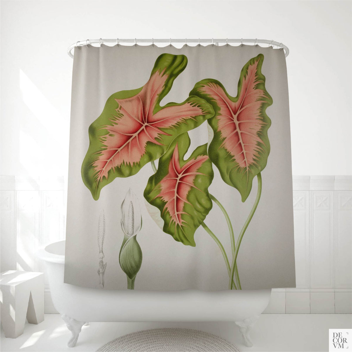 Tropical pink leaf botanical shower curtain hanging on a curved rod over a white clawfoot bathtub in a bright modern bathroom — vintage Caladium bicolor hand-colored lithograph with coral-pink and green heart-shaped leaves