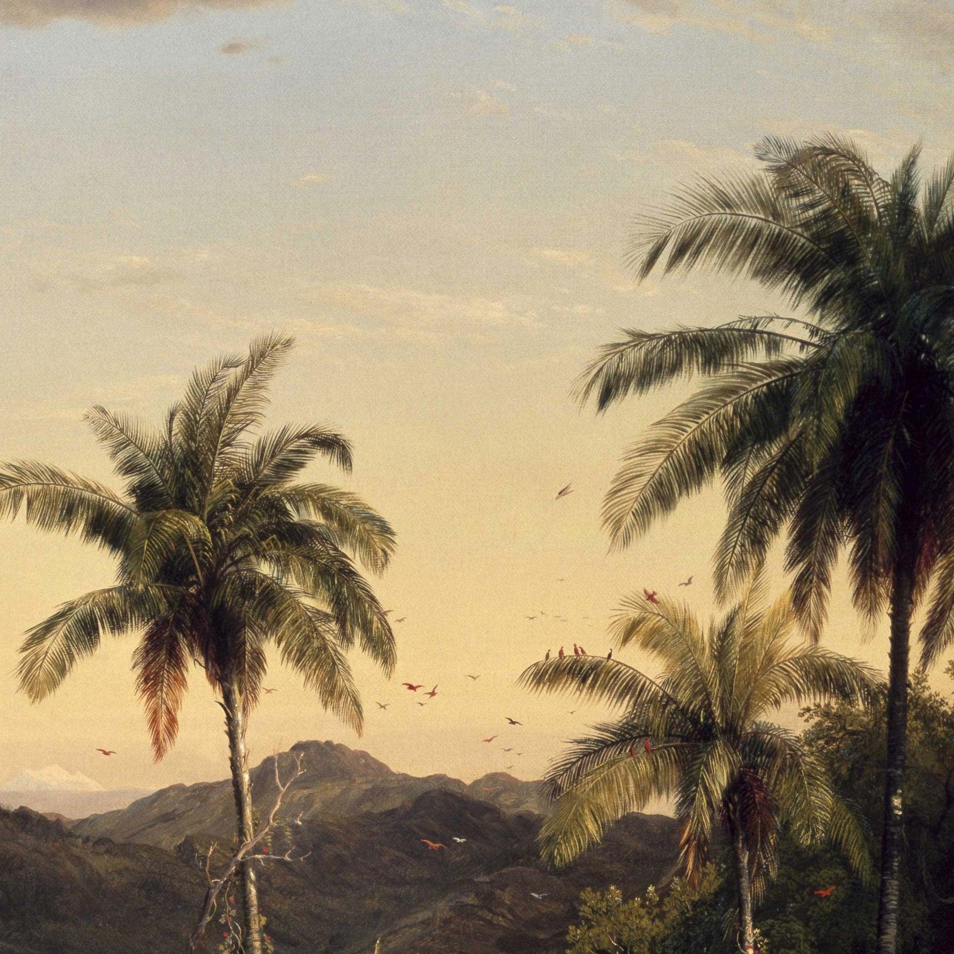 Palm fronds and exotic birds in flight against the golden amber sky — painting detail from Frederic Church's 1862 Cotopaxi.