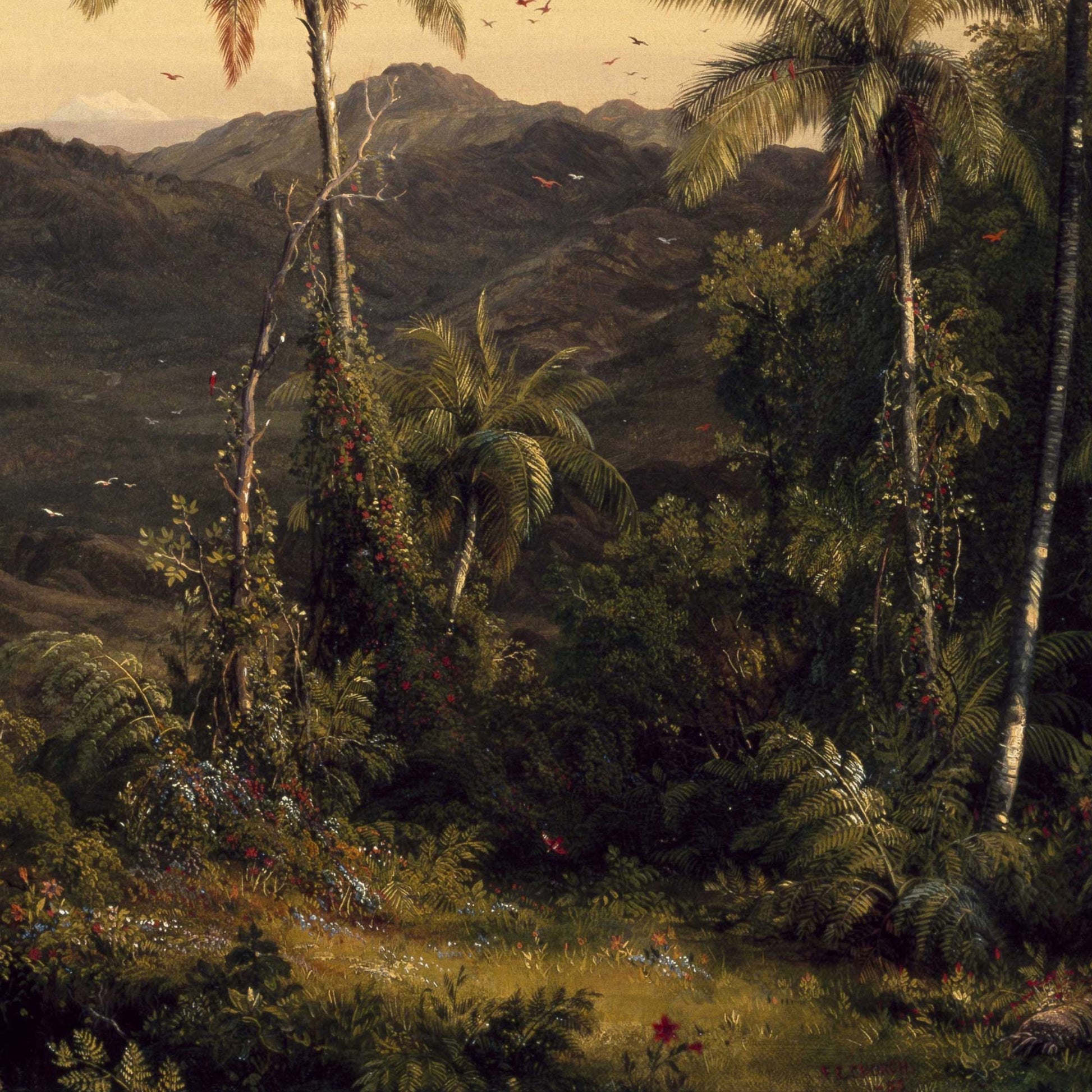 Tropical jungle vegetation with flowering vines, ferns, and white birds against a deep green hillside — painting detail from Frederic Church's 1862 Cotopaxi.