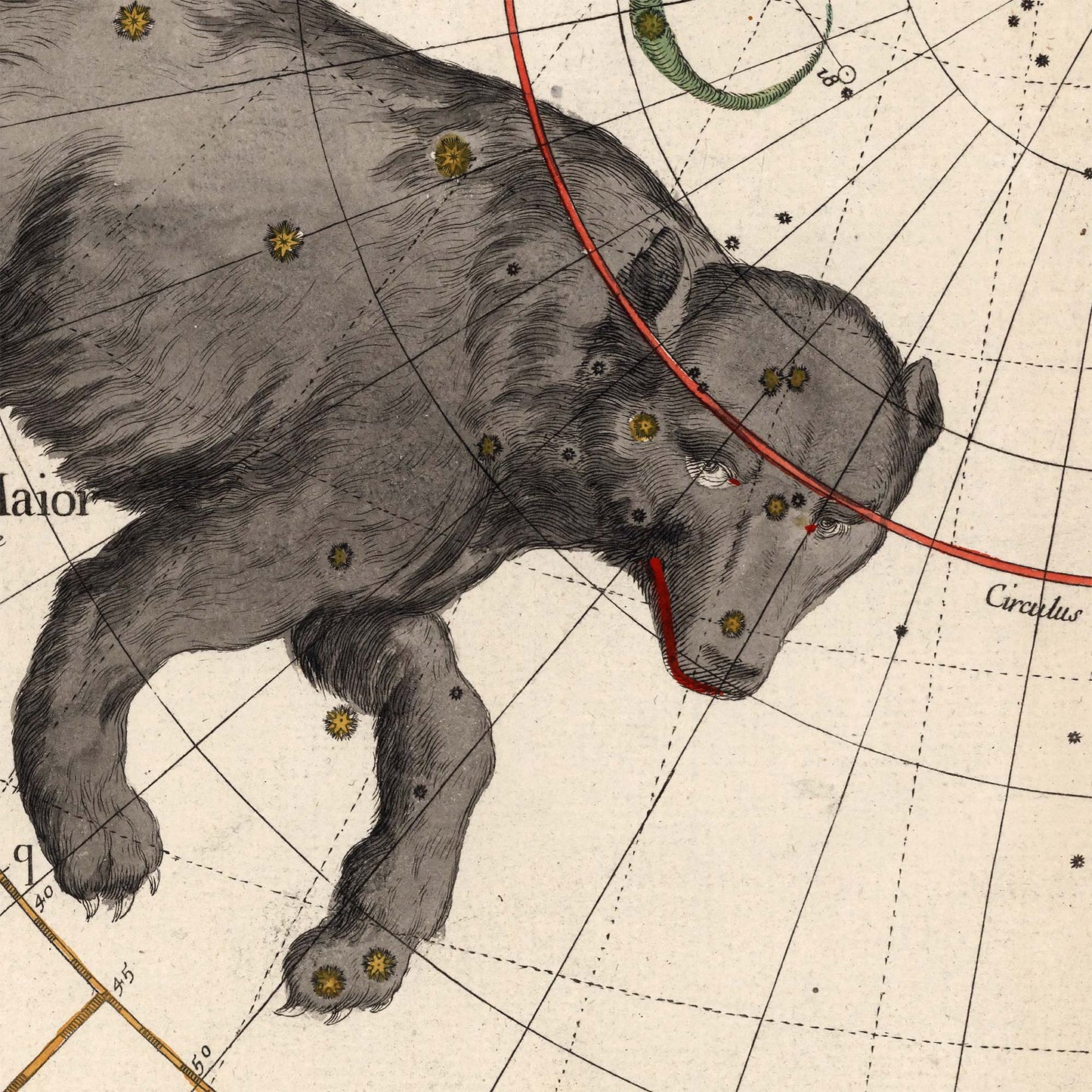 Detailed digital view of the Great Bear constellation, highlighting the masterful 1693 illustration of Ursa Major within the complex celestial grid system of the Pardies atlas.