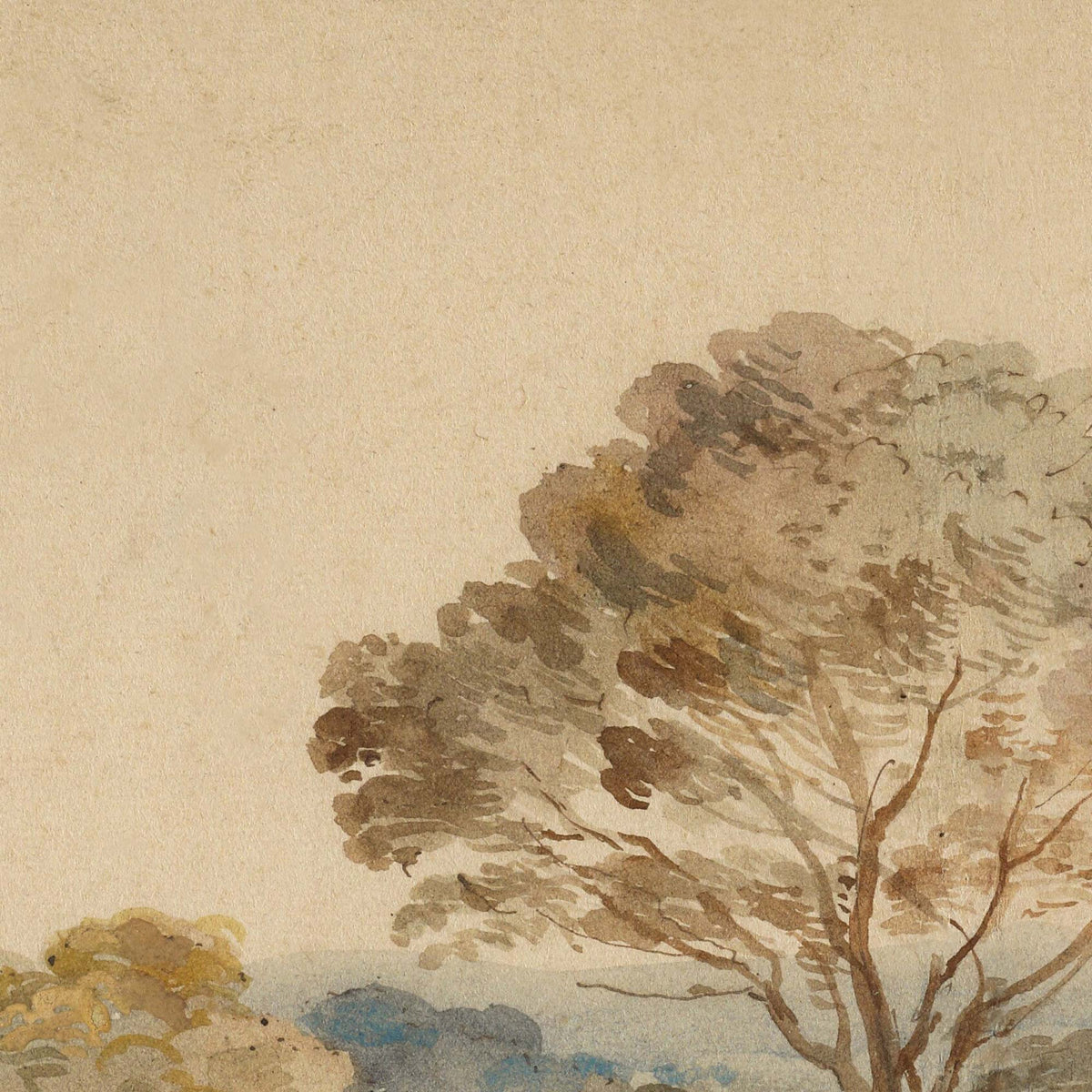 Feathery tree canopy in warm sepia tones against a pale washed sky — design detail from the English landscape sketch.
