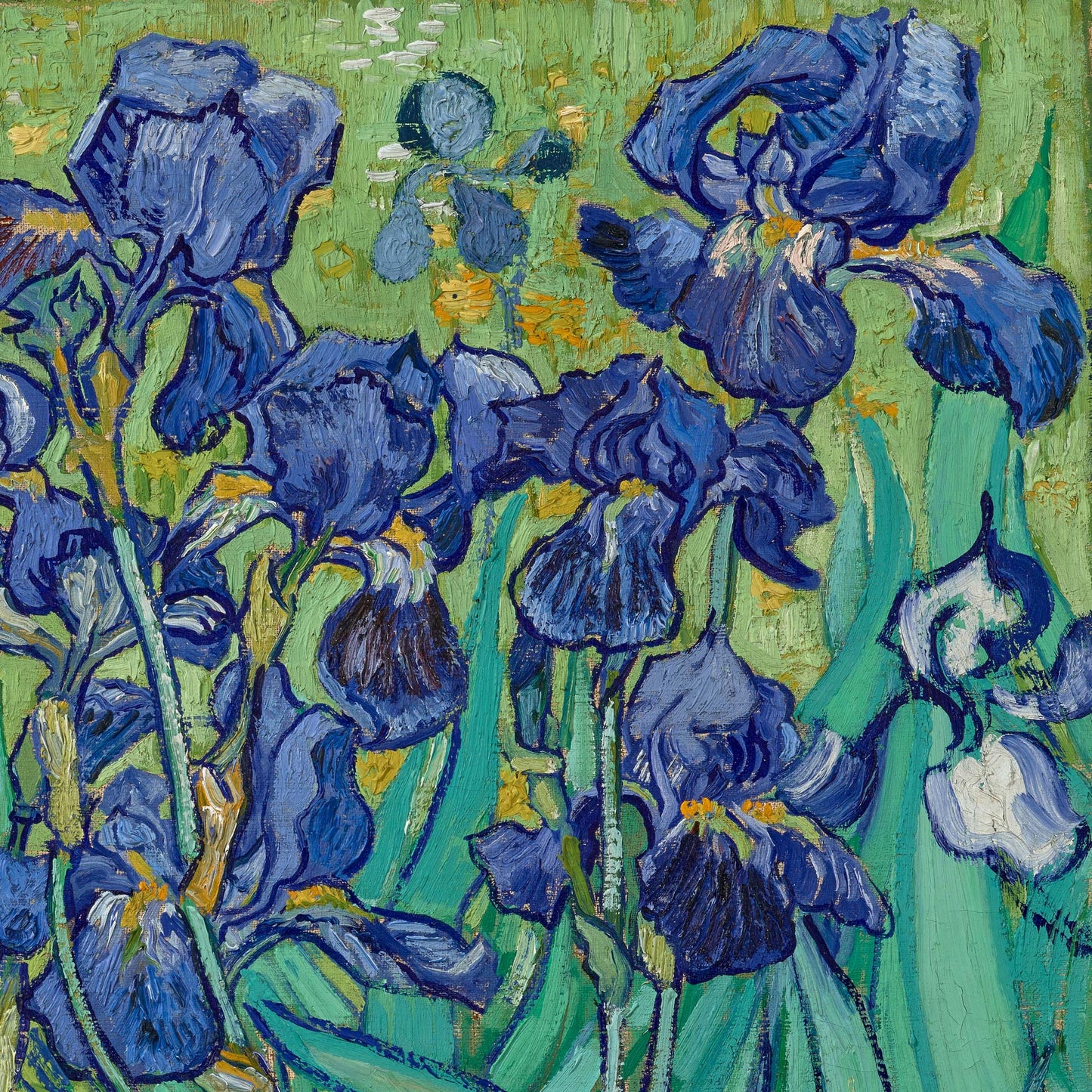 Cluster of deep violet-blue irises with a single white bloom against a green ground — design detail from Van Gogh's Irises.