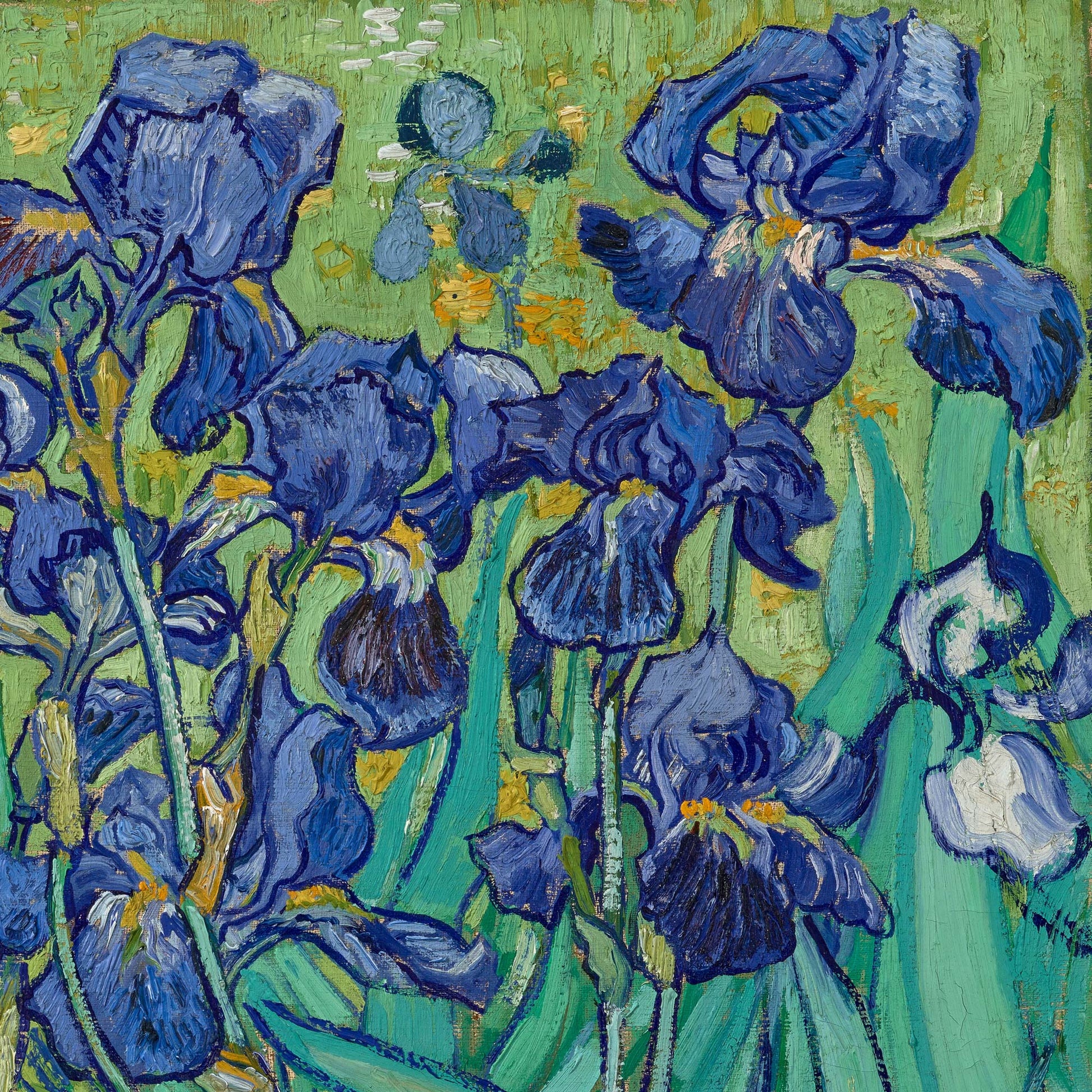 Cluster of deep violet-blue irises with a single white bloom against a green ground — design detail from Van Gogh's Irises.