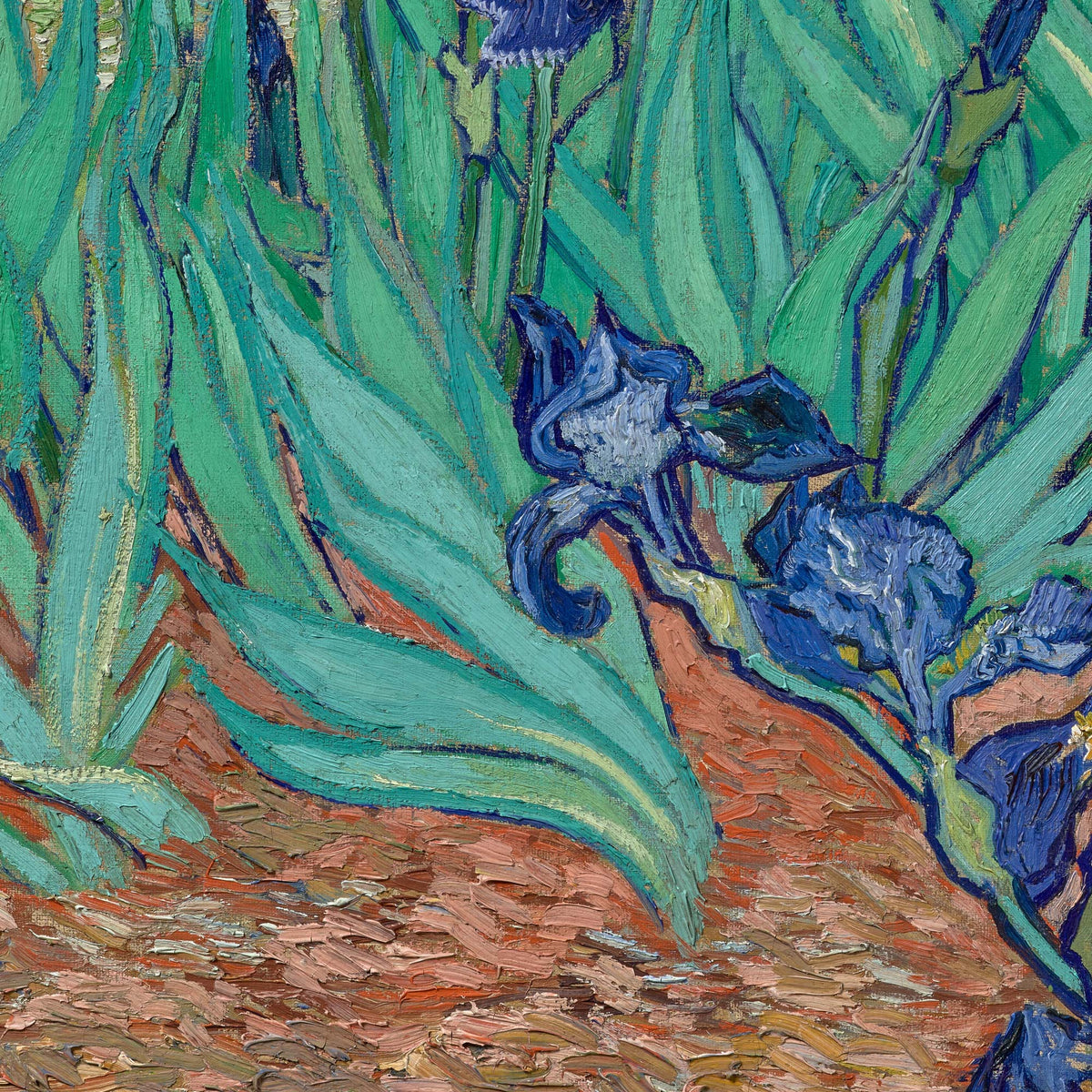 Curling blue iris petals with yellow markings against green leaves and terracotta soil — design detail from Van Gogh's Irises.