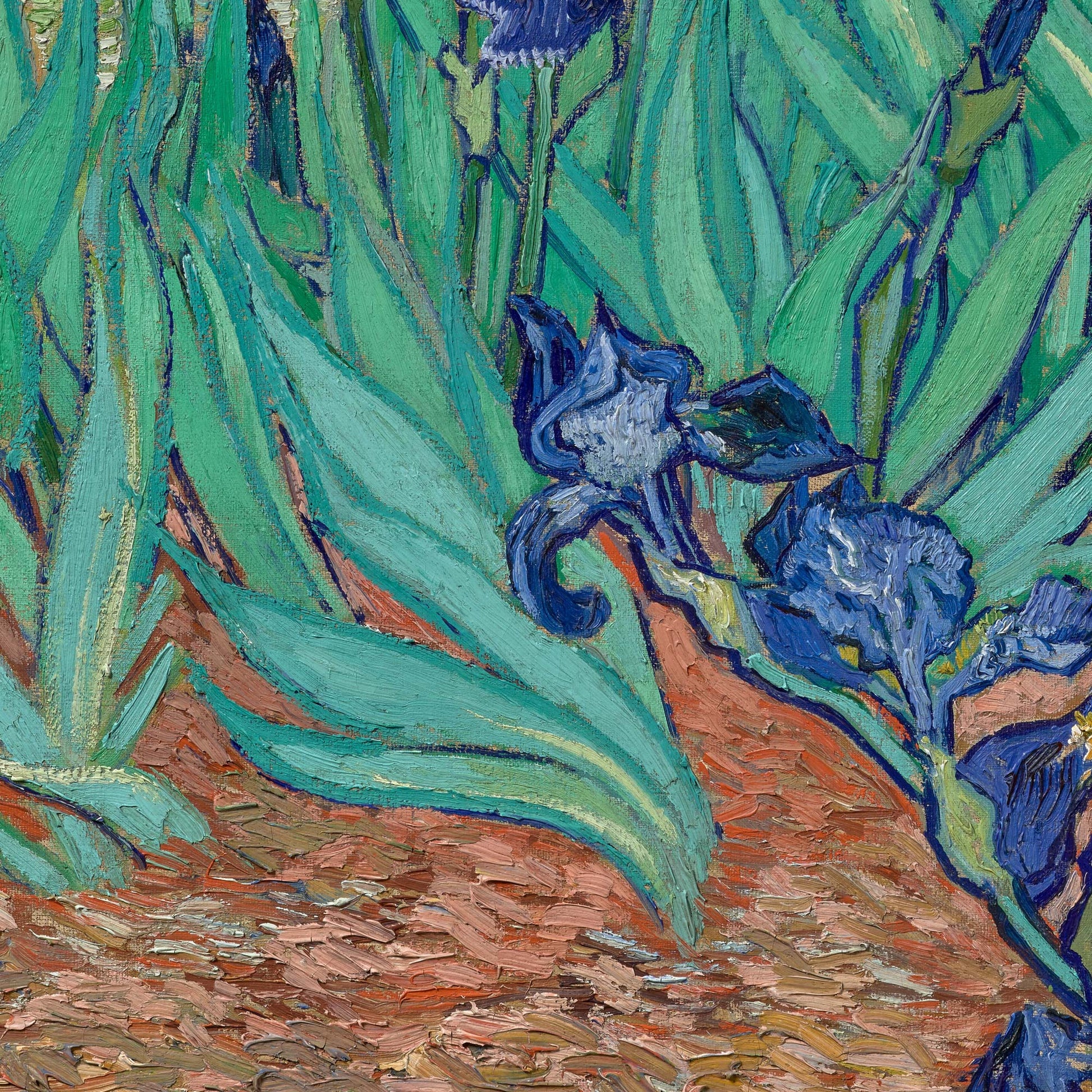 Curling blue iris petals with yellow markings against green leaves and terracotta soil — design detail from Van Gogh's Irises.