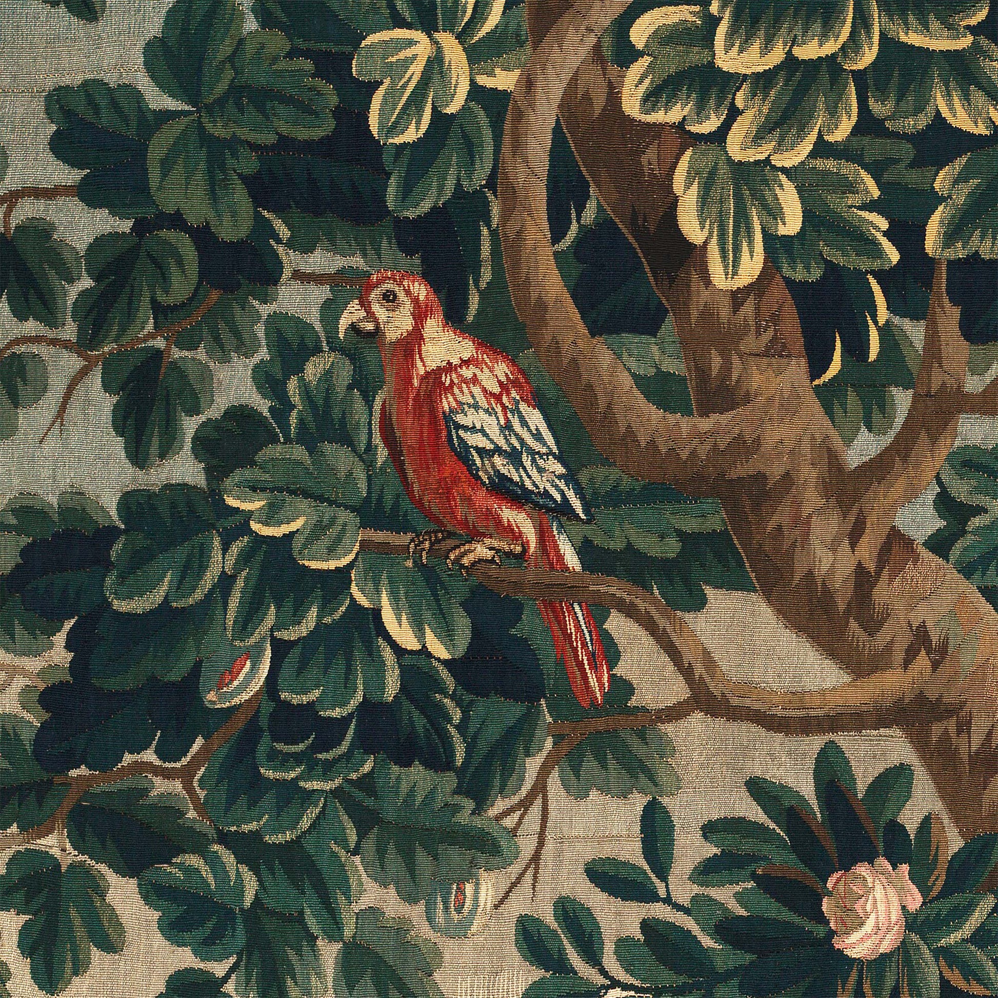 Red and white parrot perched on a thick branch beside a pink rose and lush oak foliage — design detail from the 18th-century French verdure chateau garden.