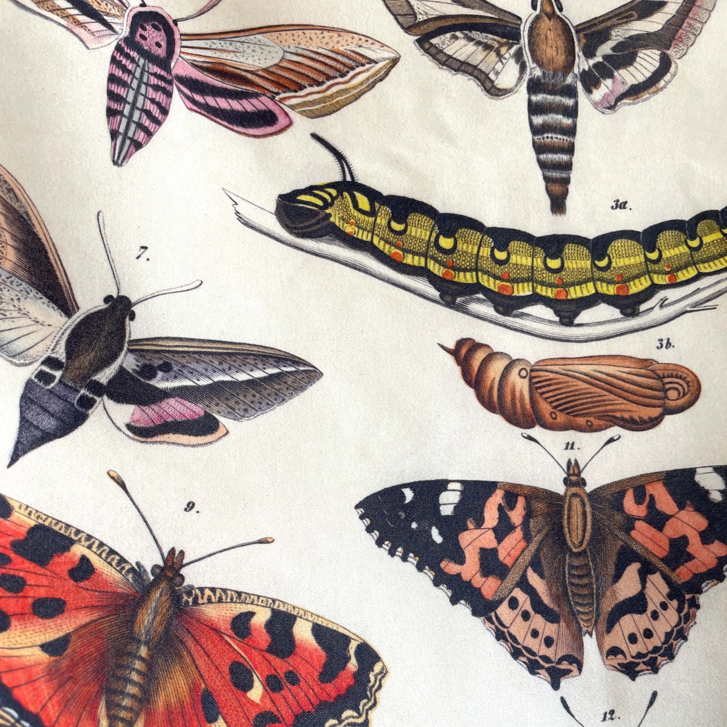 Fabric detail of the butterfly cushion cover showing the linework of moth, chrysalis, and butterfly illustrations.