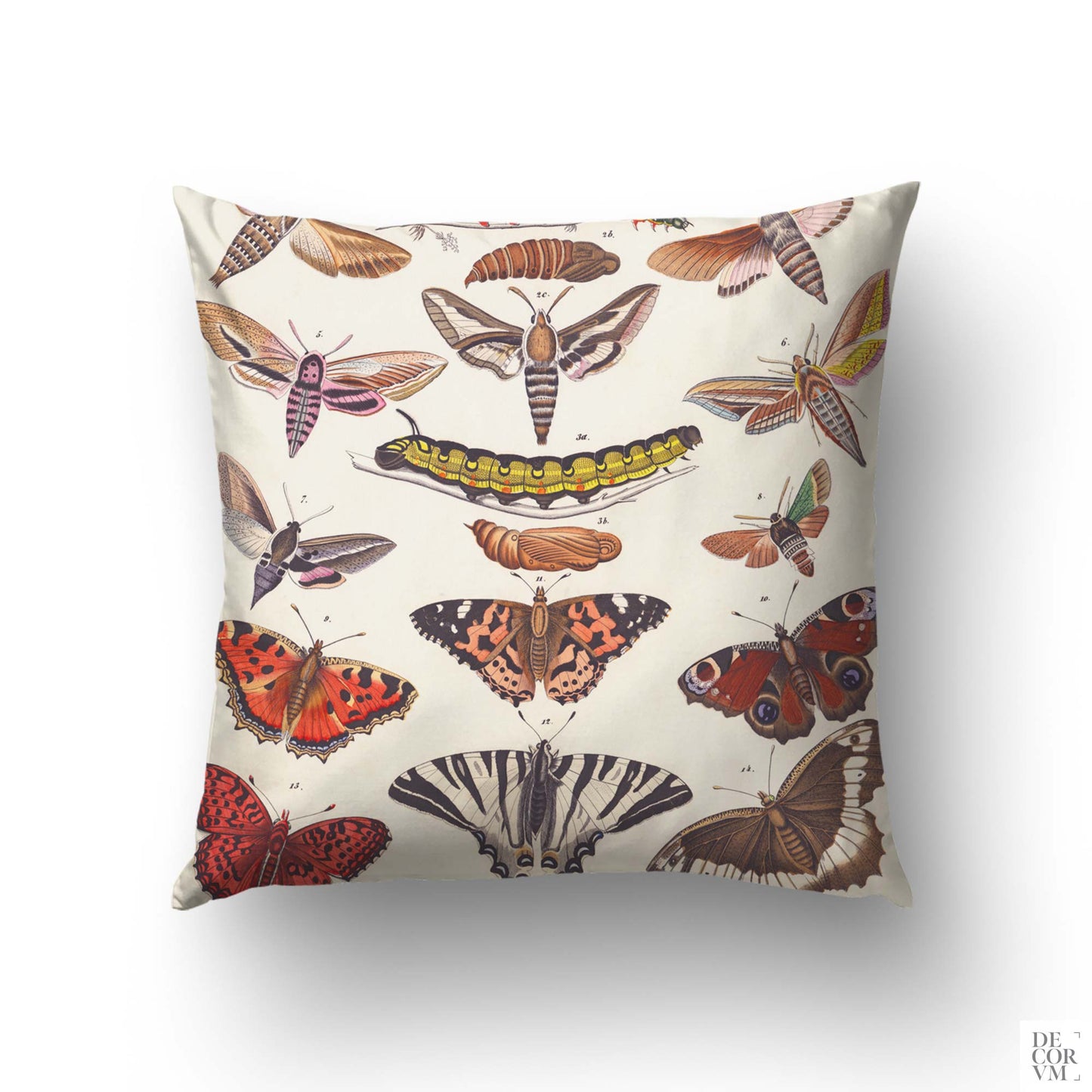 Vintage entomology butterfly cushion cover — 19th-century natural history plate with butterflies, moths, and a caterpillar in warm earth tones by Decorvm.