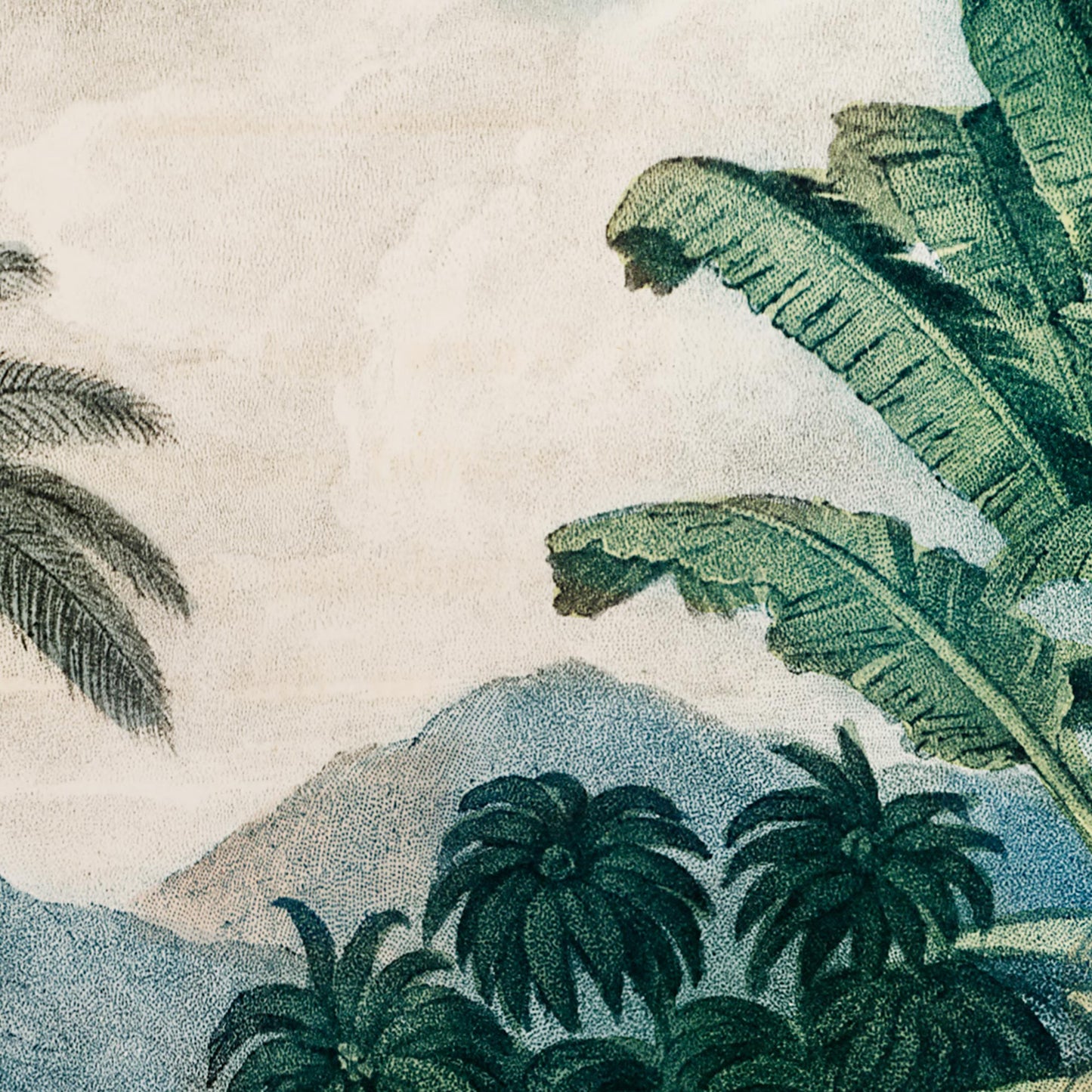 Banana leaves and distant blue hills — illustration detail from the 19th-century tropical jungle scene.