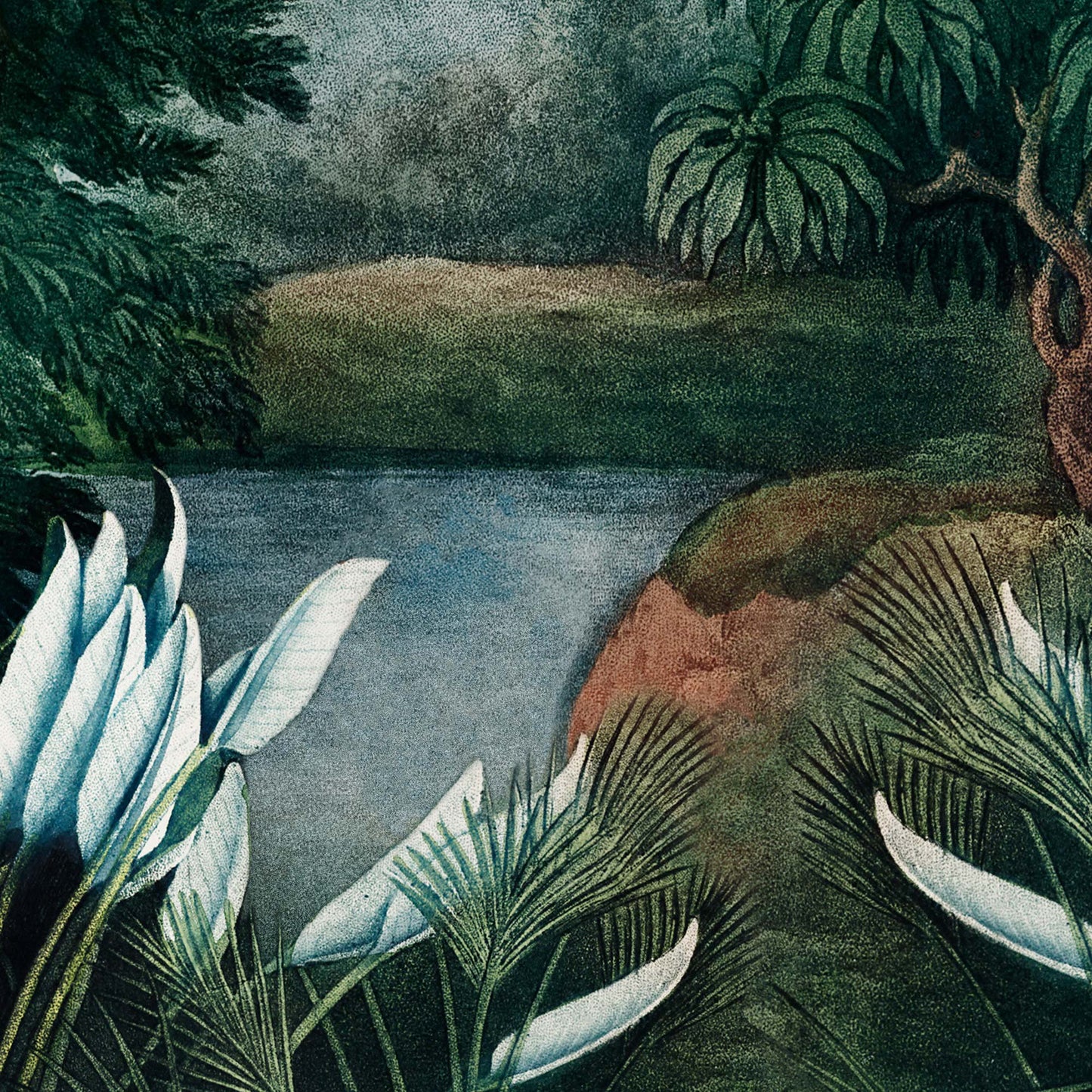 Blue riverbank framed by green fan palms — illustration detail from the 19th-century tropical jungle scene on the shower curtain.