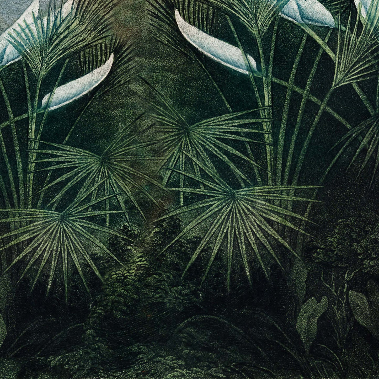 Dark fan palm leaves and dense undergrowth — illustration detail from the 19th-century tropical jungle scene on the shower curtain.
