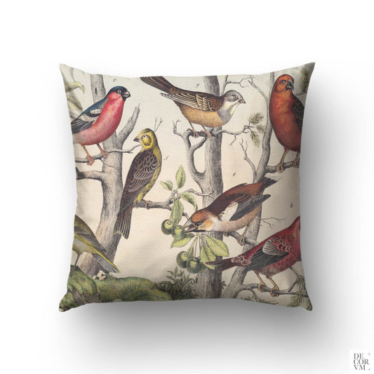 Vintage finches cushion cover — 19th-century natural history engraving of European songbirds on textured branches by Decorvm.
