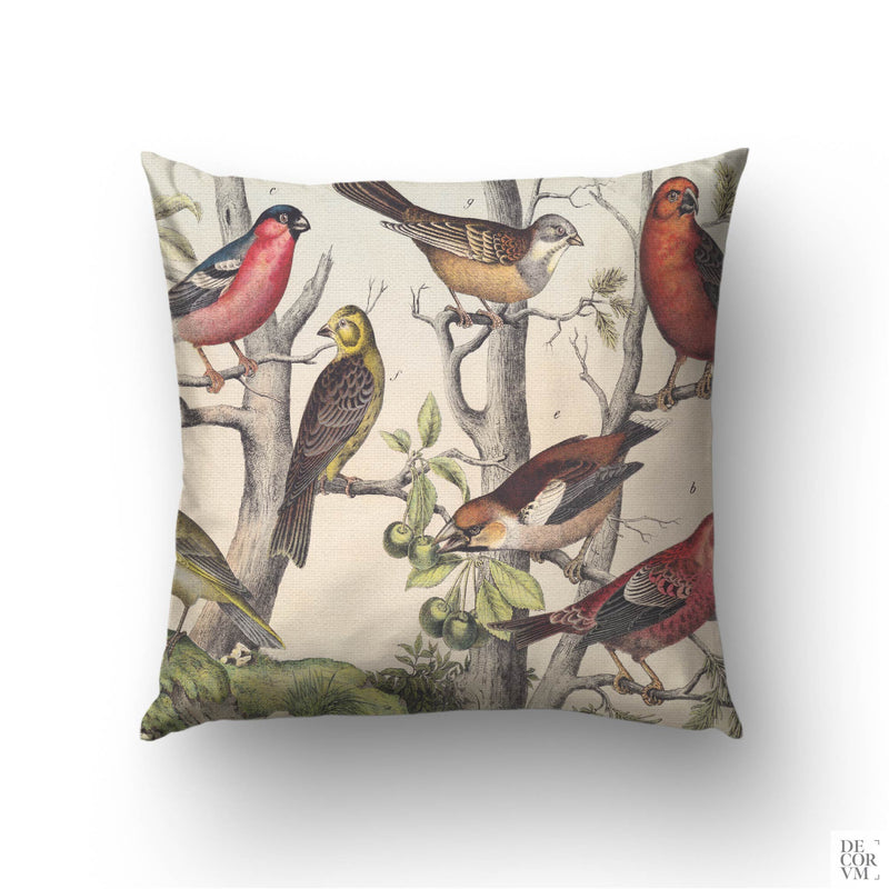 Vintage finches cushion cover — 19th-century natural history engraving of European songbirds on textured branches by Decorvm.