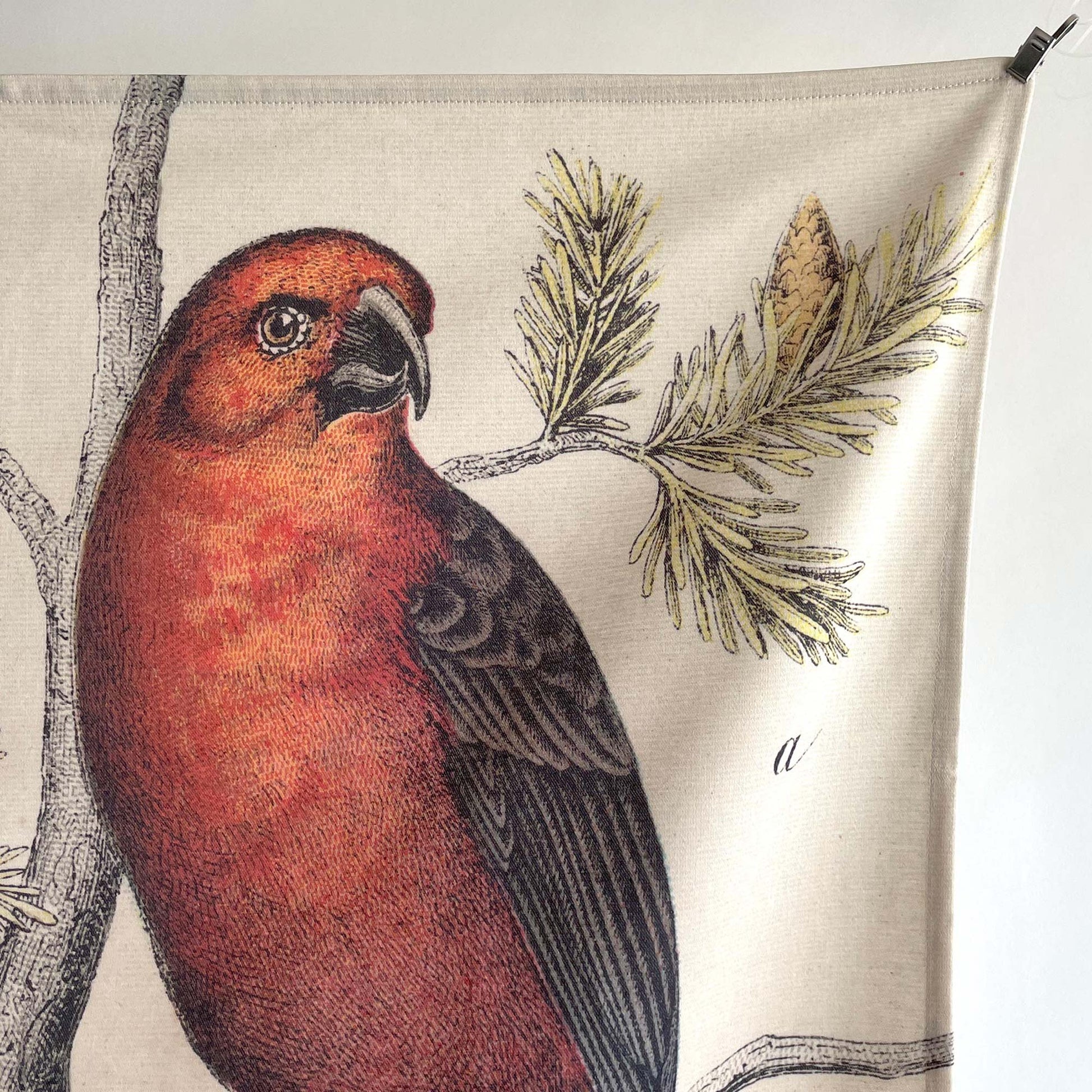 Top right corner of the Vintage Ornithology tapestry showing a deep red bird perched beside an illustrated pine branch and pinecone.
