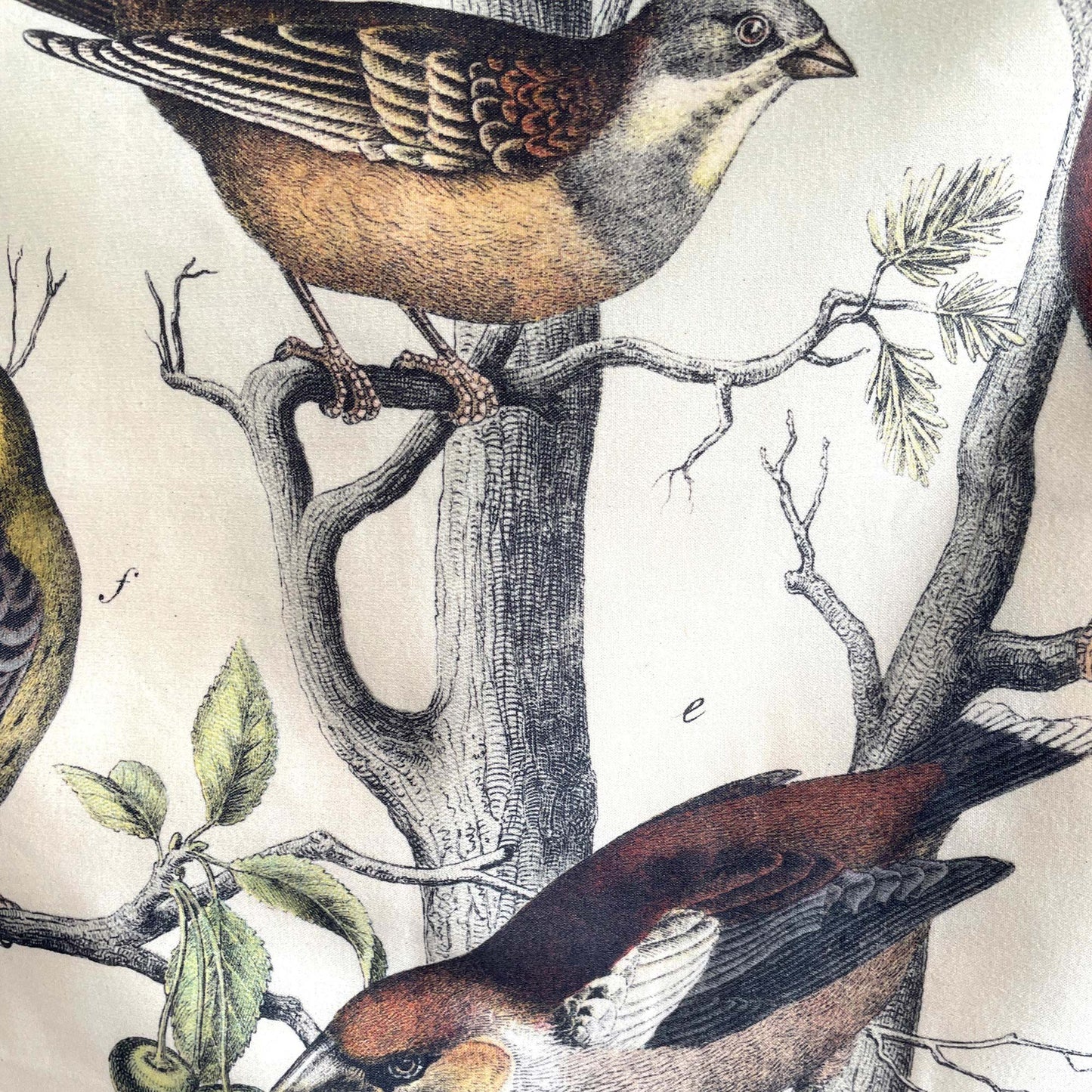 Close-up of the Vintage Ornithology tapestry showing intricate vintage linework of a tree trunk with resting brown birds and detailed green foliage.