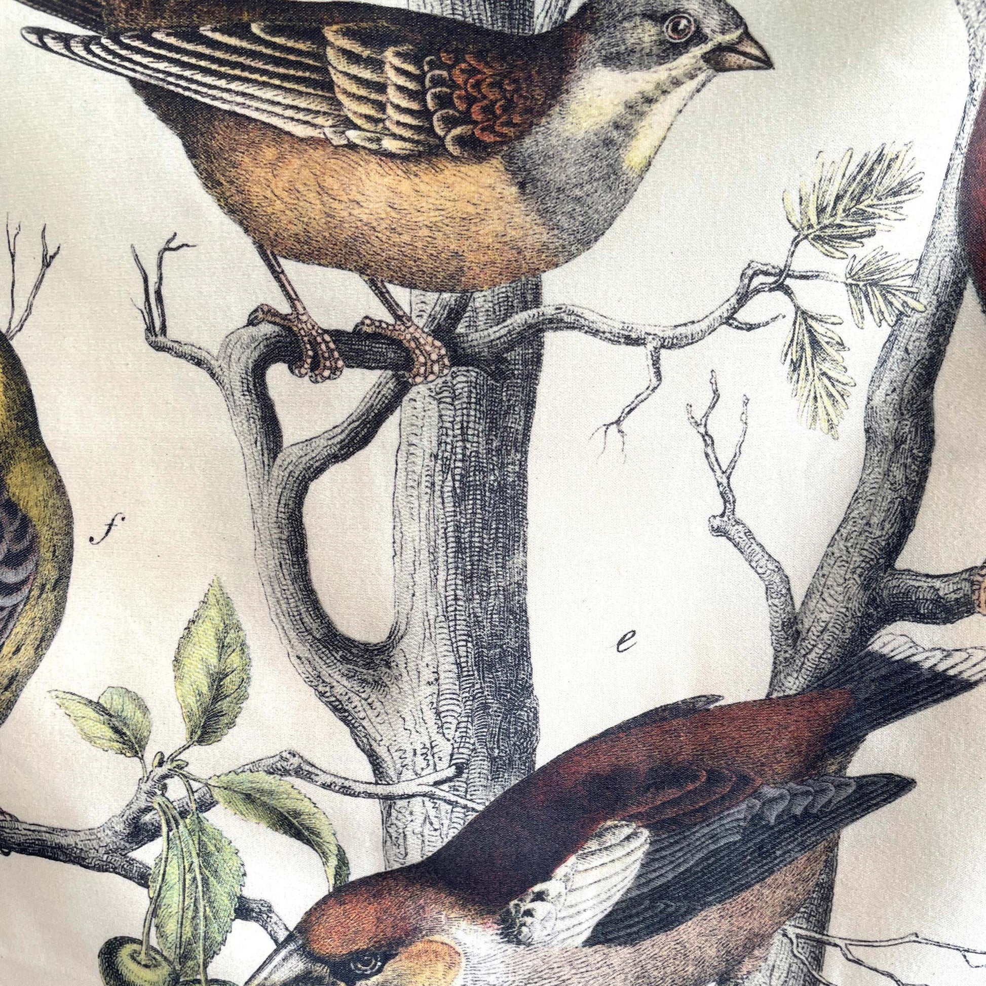 Close-up of the Vintage Ornithology tapestry showing intricate vintage linework of a tree trunk with resting brown birds and detailed green foliage.