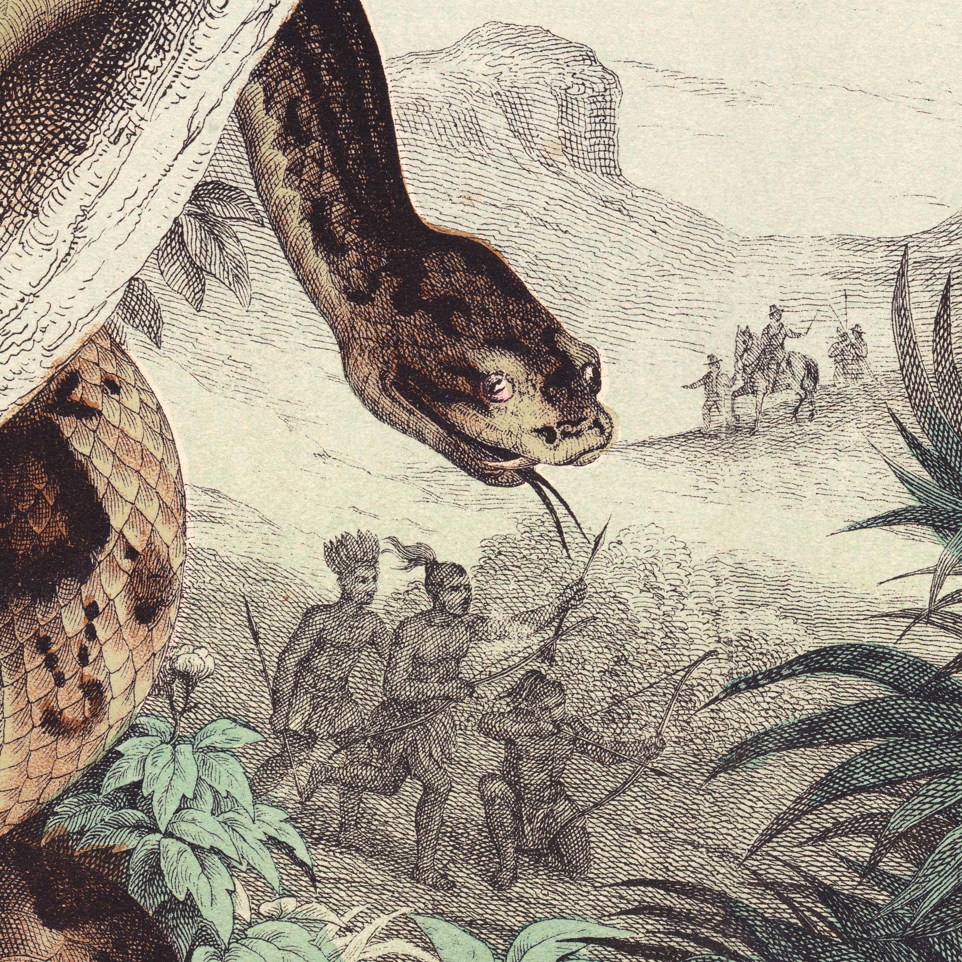 Detail of a large python's head with flicking tongue, poised over a hazy tropical landscape where native hunters and mounted travelers appear in the distance — from a vintage 19th-century natural history snake engraving.