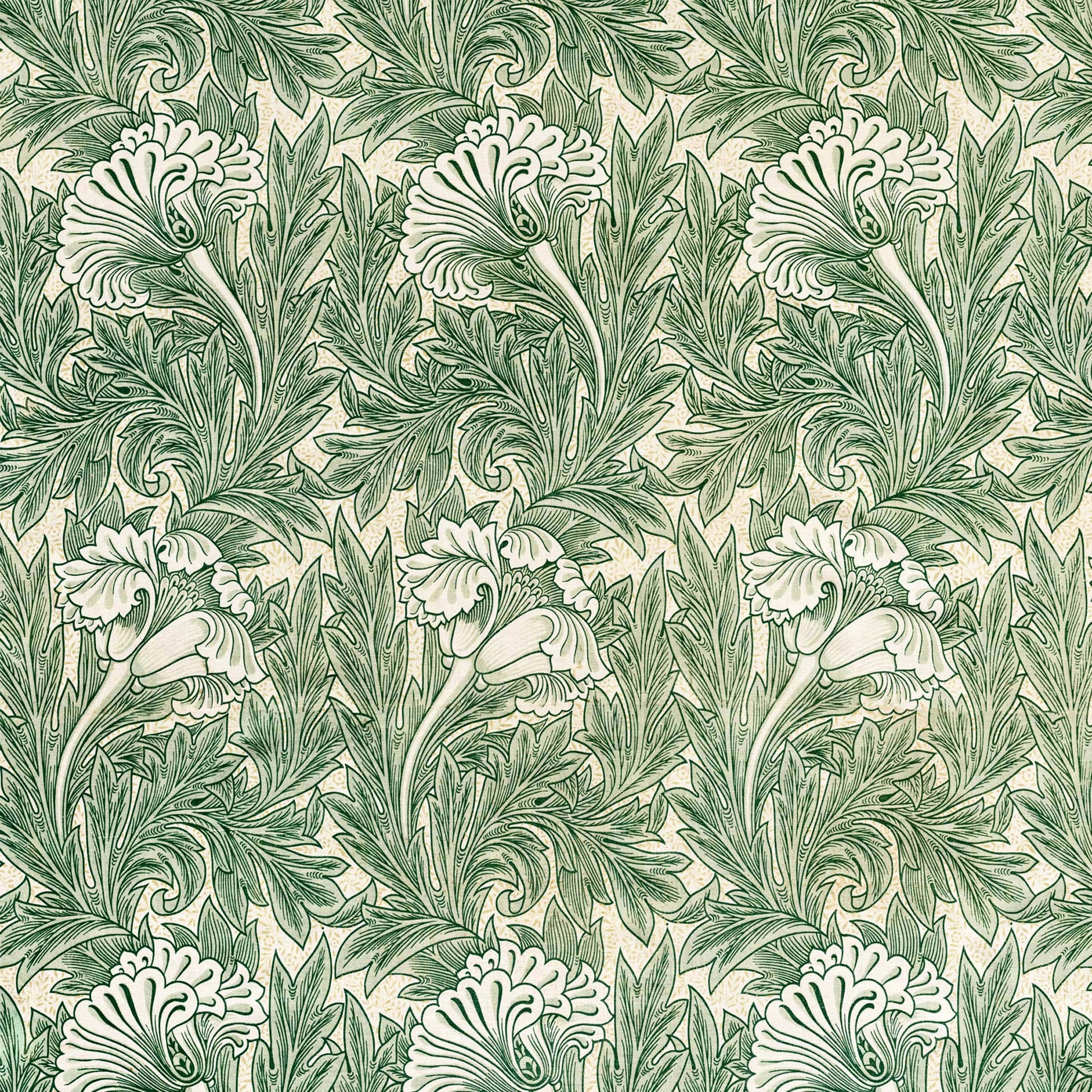 Seamless pattern view — design detail of William Morris's 1875 Tulip with scrolling foliage.