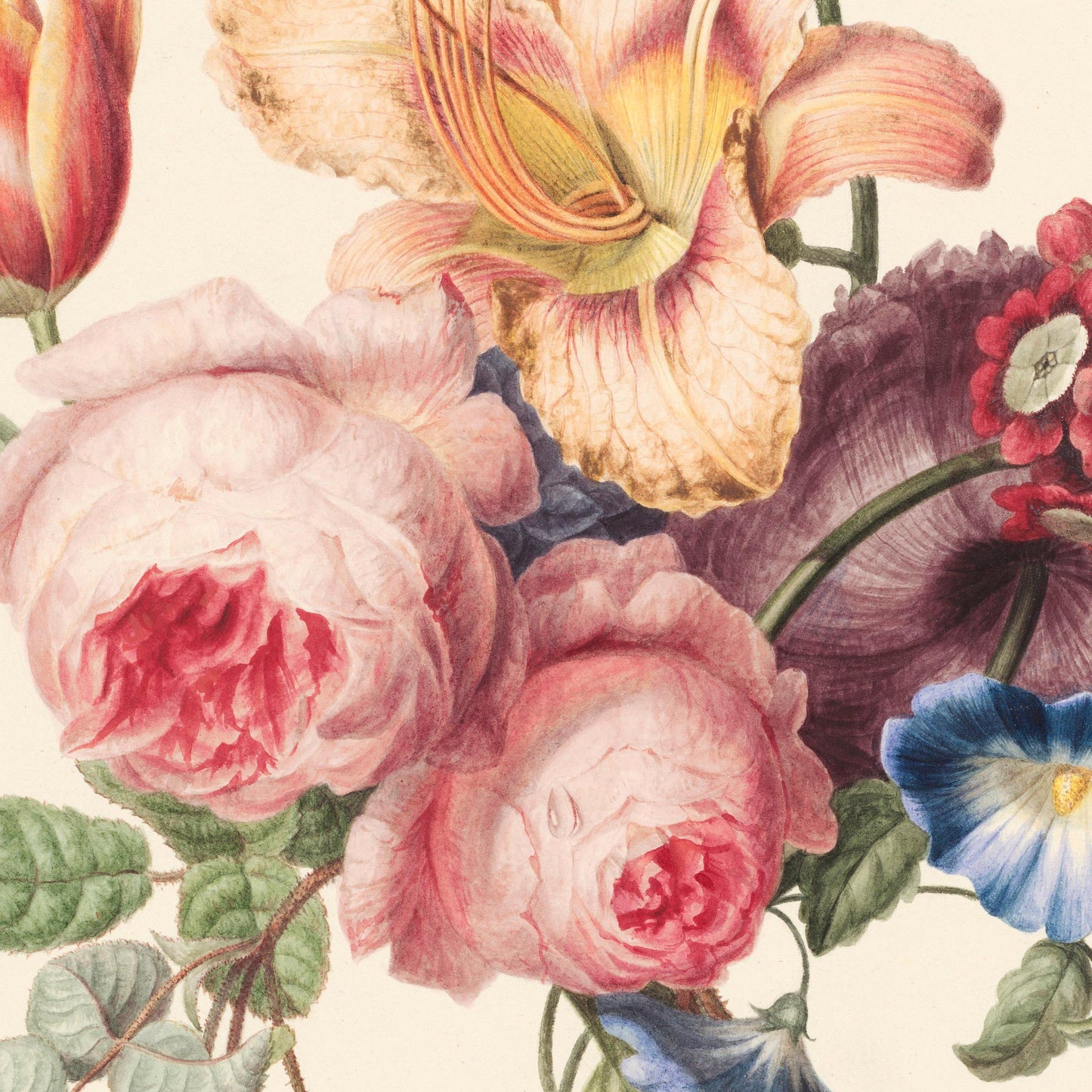 Detail of two full pink cabbage roses at the heart of the bouquet, framed by a peach lily above and a deep purple bloom behind — from a vintage 1820s Dutch botanical watercolor.