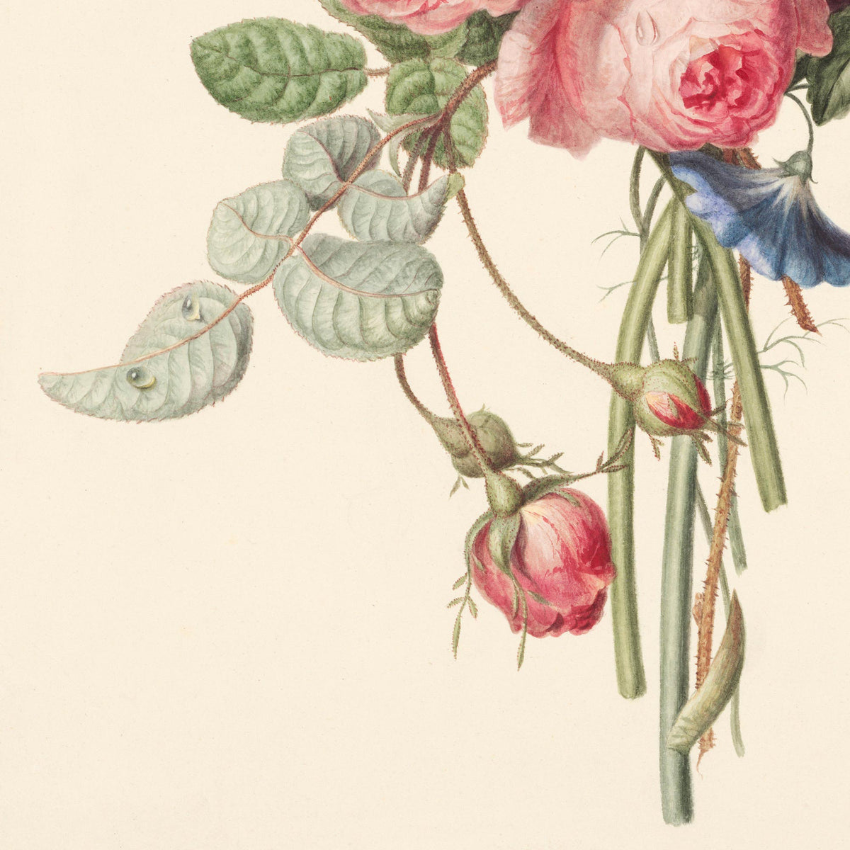 Detail of the loosely tied stems at the base of the bouquet with trailing silver-green rose leaves and a delicate pink rose bud — from a vintage 1820s Dutch botanical watercolor.